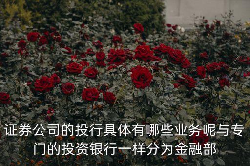 國內(nèi)券商投行部在做什么，國有四大行的投行部在做什么
