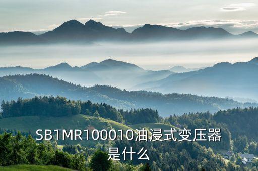 油浸式變壓器什么是酚推，SB1MR100010油浸式變壓器是什么