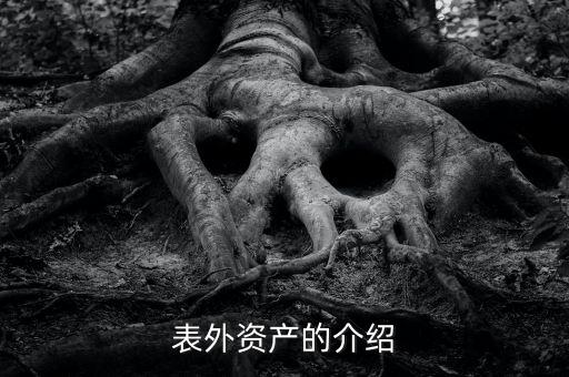 什么是表外資金，表外資產的介紹
