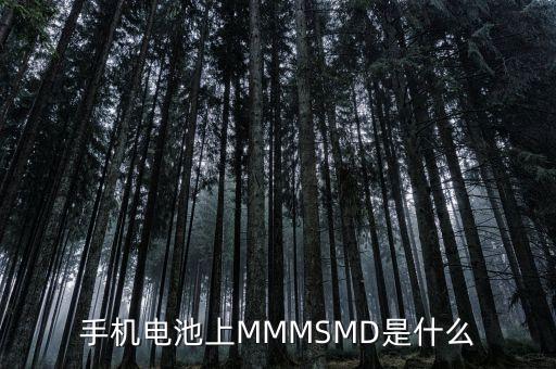 什么是電力儲能，手機電池上MMMSMD是什么