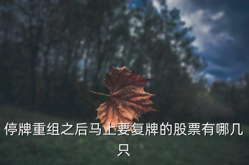 002306什么時(shí)候復(fù)牌，停牌重組之后馬上要復(fù)牌的股票有哪幾只