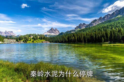 st秦嶺股票什么時候復(fù)牌，600217秦嶺水泥多會能復(fù)牌