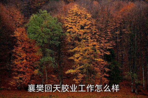 回天膠業(yè)處于行業(yè)什么水平，襄樊回天膠業(yè)工作怎么樣