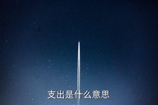 什么是下甩支出，請(qǐng)問(wèn)會(huì)計(jì)里面的甩帳是什么意思