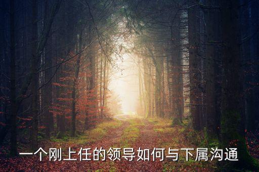 新任董事長應(yīng)該做什么，董事會換屆選舉怎么做