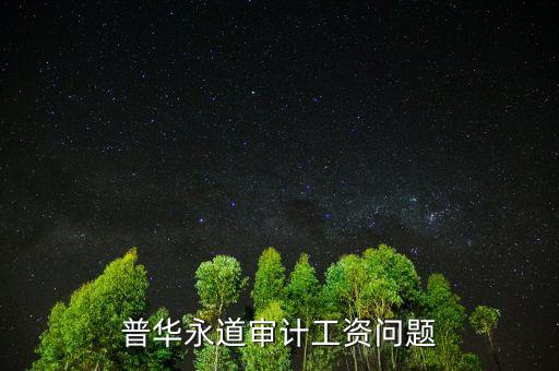 普華審計做什么，普華永道審計工資問題