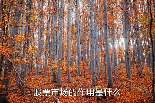 股票交易市場(chǎng)有什么意義，股票市場(chǎng)的作用是什么