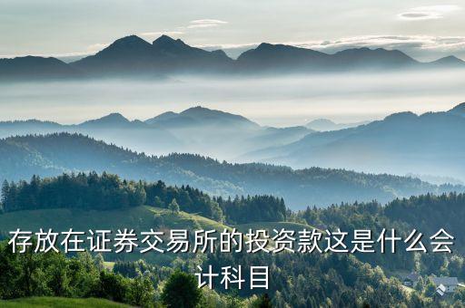 證券投資屬于什么會(huì)計(jì)科目，存放在證券交易所的投資款這是什么會(huì)計(jì)科目