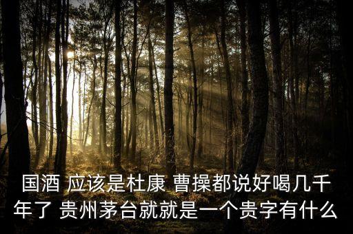 為什么不拿杜康當(dāng)國酒，為什么杜康酒沒有成為中國十大名酒之一
