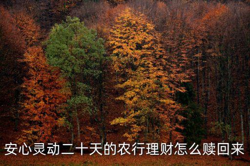 安心靈動(dòng)20天什么時(shí)候可以贖回，安心靈動(dòng)二十天的農(nóng)行理財(cái)怎么贖回來(lái)