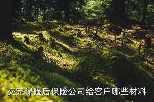 交完車險(xiǎn)都給什么東西，交完保險(xiǎn)后保險(xiǎn)公司給客戶哪些材料