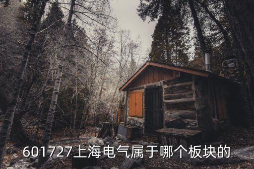 上海電氣什么行業(yè)，上海置信電氣股份有限公司是屬于什么行業(yè)