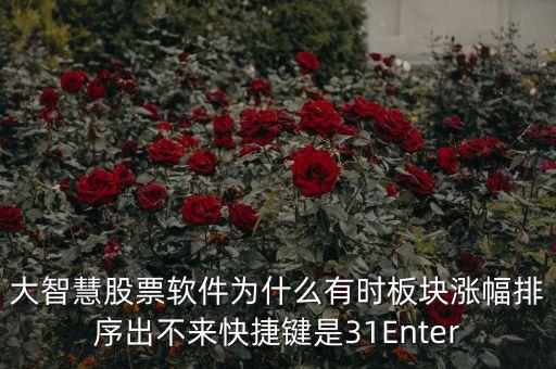 板塊排不按什么鍵，大智慧股票軟件為什么有時板塊漲幅排序出不來快捷鍵是31Enter