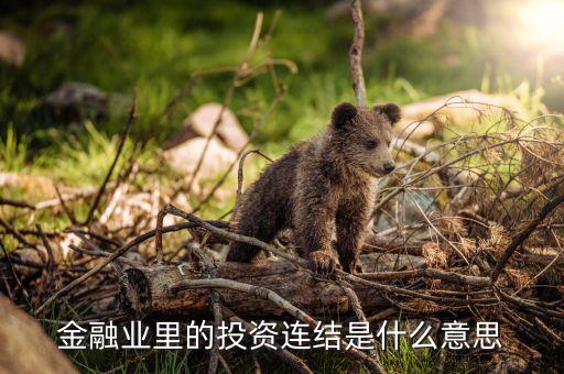 什么是投資連結，投資連結是什么意思哪位告訴我