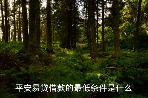 平安信保易貸是什么，平安易貸借款的最低條件是什么
