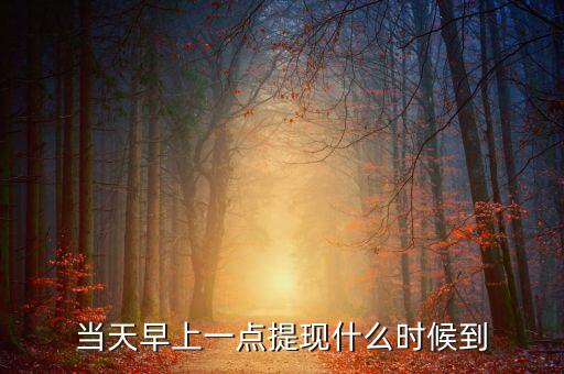 海納幣什么時候提現，你們那里說什么時候可以提現嗎