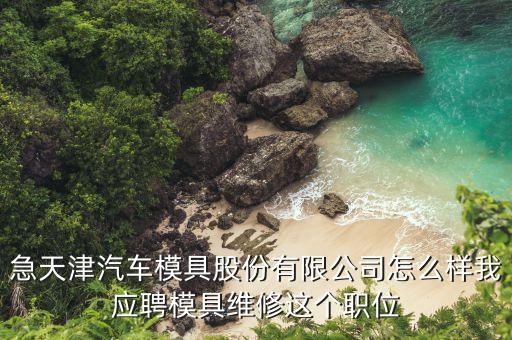 北辰天汽模面試都問什么，手機問題回答要詳細(xì)