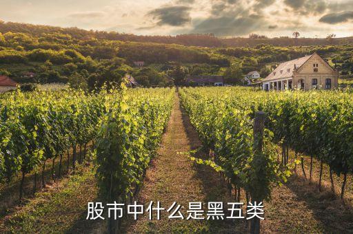 股票黑五類是什么，股市中什么是黑五類