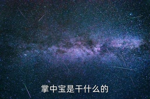 保險掌中寶是什么，掌中寶是干什么的