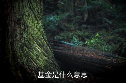 一張圖看懂什么是基金，什么是基金