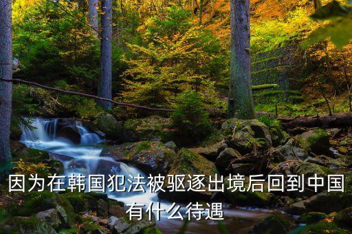 在國外犯罪逃回國有什么后果，逃犯持外國護(hù)照回國會怎樣