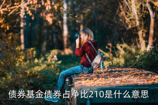 基金中的占凈比什么意思，債券基金債券占凈比210是什么意思