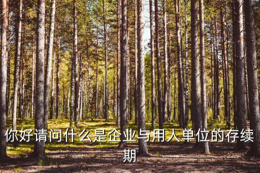 什么叫存續(xù)合同，法律上所謂的續(xù)存是什么意思