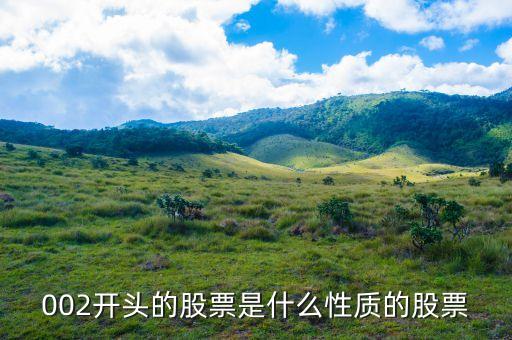 002打頭的股票代表什么，股票002開頭的是什么意思