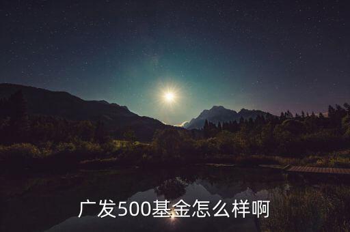 廣發(fā)500凈值為什么很低，廣發(fā)500基金怎么樣啊