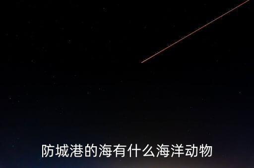 什么是沿邊金融，防城港的海有什么海洋動(dòng)物
