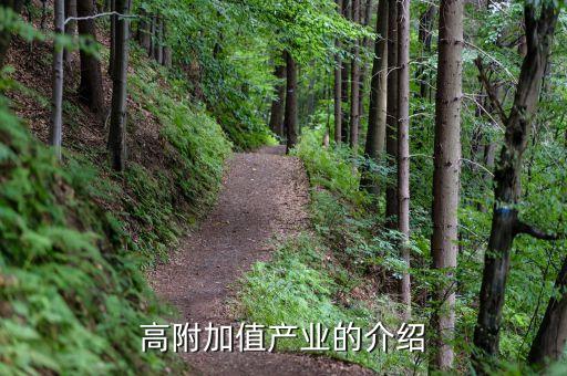 什么是高附加值產(chǎn)業(yè)，高附加值產(chǎn)業(yè)的介紹