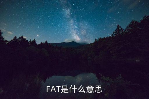 fatca指什么，F(xiàn)AT是什么意思