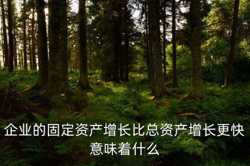 固定資產(chǎn)增長(zhǎng)說(shuō)明什么，流動(dòng)資產(chǎn)固定資產(chǎn)長(zhǎng)期投資都增加從公司資產(chǎn)規(guī)模及變動(dòng)趨勢(shì)