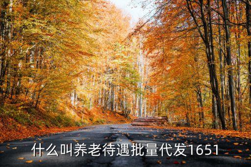 什么叫代發(fā)養(yǎng)老金，養(yǎng)老金代發(fā)機(jī)構(gòu)是指什么