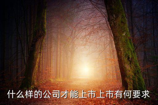 什么樣的公司可以上市，什么樣的公司才能上市上市有何要求
