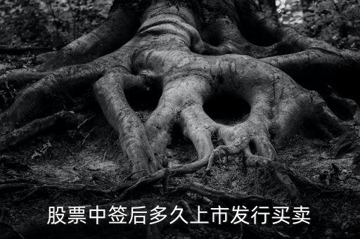 300512什么時候上市交易，股票中簽后多久上市發(fā)行買賣