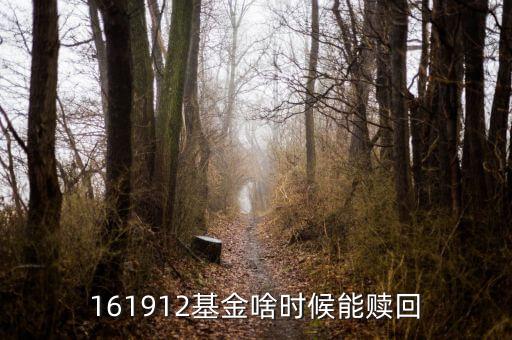 168102什么時(shí)候能贖回，166902民生加銀債券a贖回期三年封閉期什么時(shí)候能贖回
