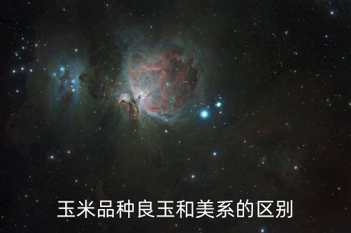良玉系列品種都有什么，道寧集團良玉財寶碧玉有那些品種