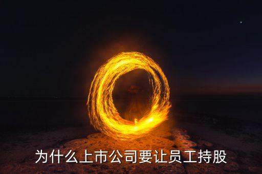 公司強(qiáng)迫員工入股的動(dòng)機(jī)是什么，4個(gè)人的公司要求員工入股是什么目的