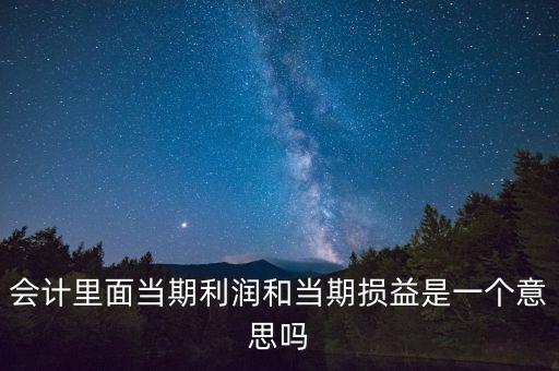 當(dāng)期利潤是指什么意思，當(dāng)期利潤當(dāng)期應(yīng)付利息等等中的當(dāng)期是什么含義