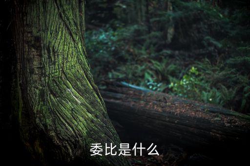 什么是委比指標，股票里面的委比是什么意思