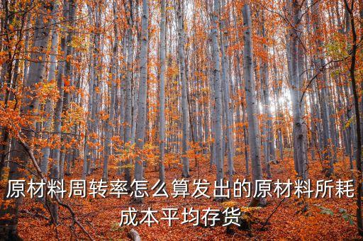 材料周轉(zhuǎn)率是什么，90原材料周轉(zhuǎn)率周轉(zhuǎn)天數(shù) 什么意思