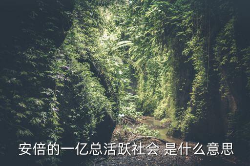 一億總活躍社會是什么， 安倍的一億總活躍社會 是什么意思