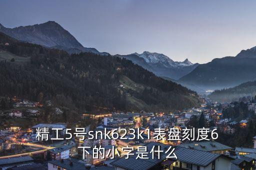 精工表中小表什么，精工手表4個小表盤是干甚么的