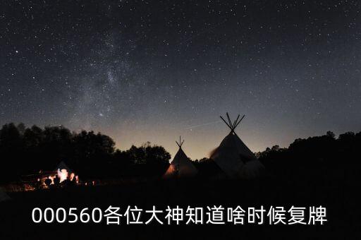 賽象科技什么時候復牌，000560各位大神知道啥時候復牌