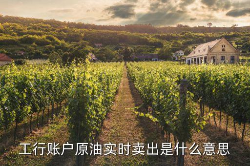 工行賬戶原油實(shí)時(shí)賣(mài)出是什么意思