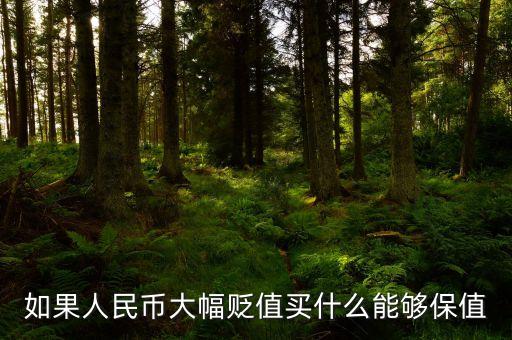 錢貶值買什么，人民幣貶值買什么好