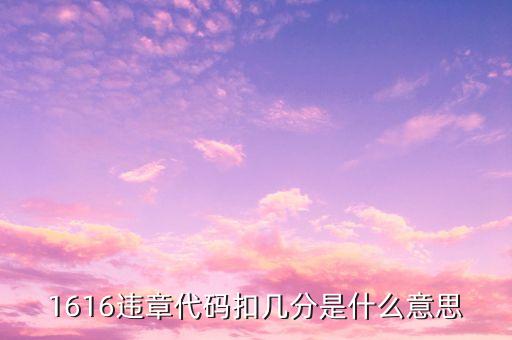 1616元是什么意思，1616違章代碼扣幾分是什么意思