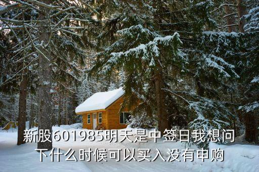 601985什么時候上市的，中國核電什么時候上市中國核電股票代碼多少