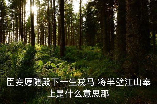 打下半壁江山什么意思，半壁江山的意思是